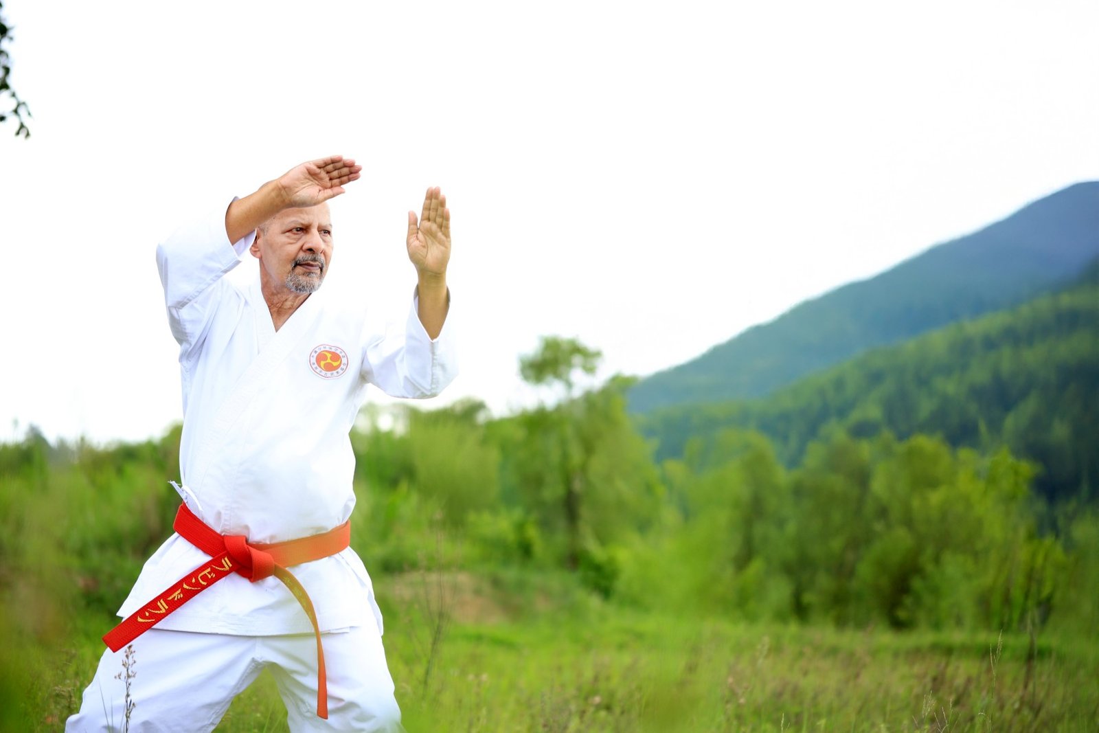 hanshi ravindran k.p performing a powerful and precise traditional kata demonstration. (large)