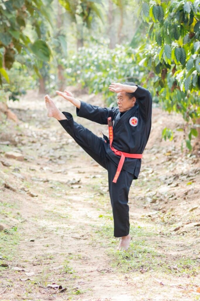 hanshi tetsuo takamiyagi demonstrating a powerful high kick technique from the udunti style (large)
