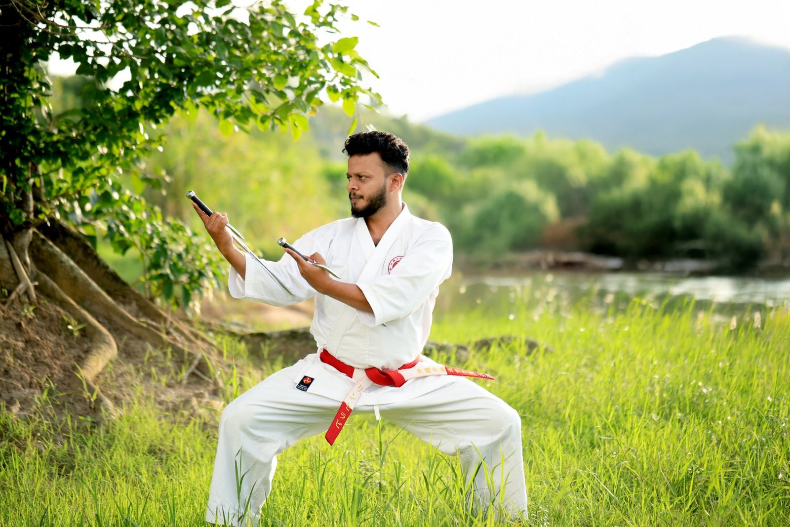 Home kyoshi lince ravi performing a precise and powerful traditional sai kata. (large) (1)